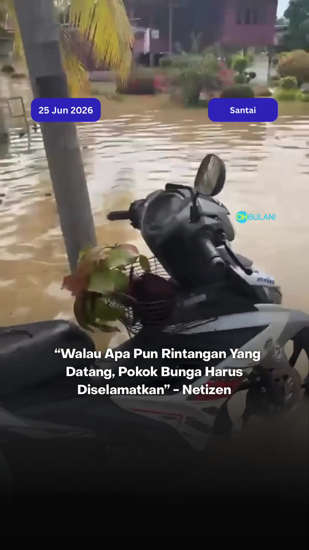 @OHBULAN!