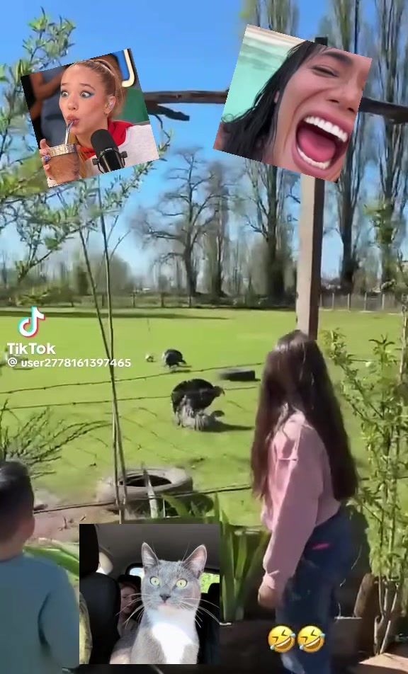 @martin.1711a