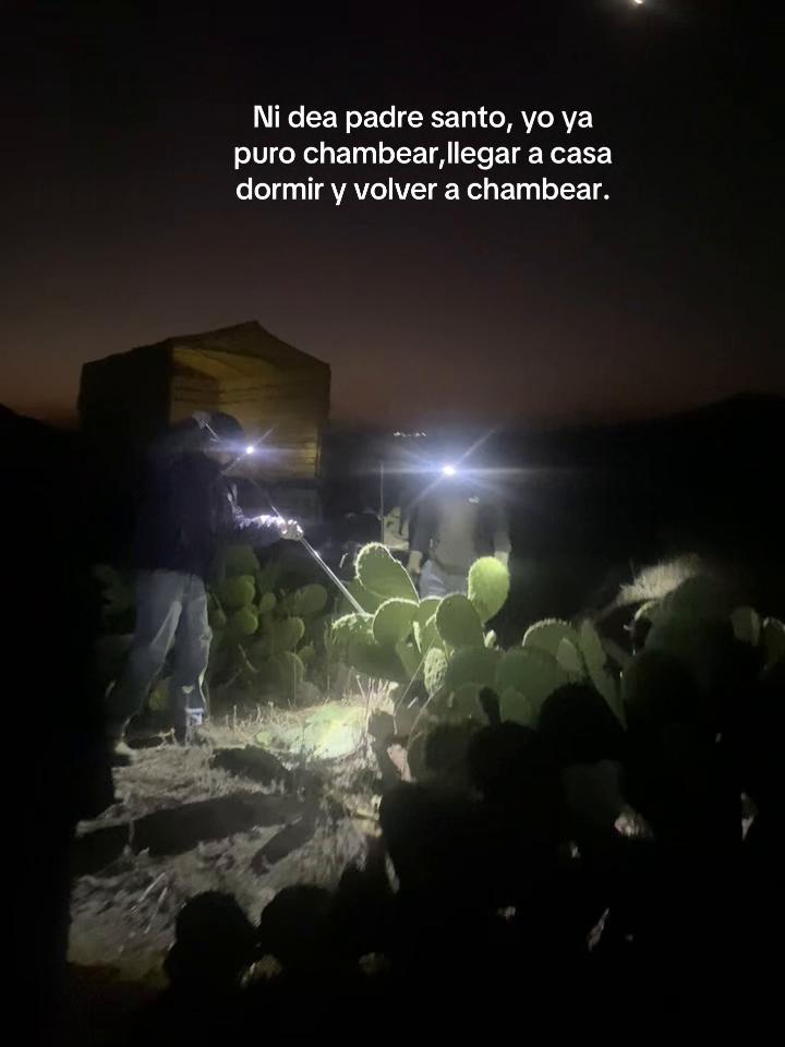 @M.V