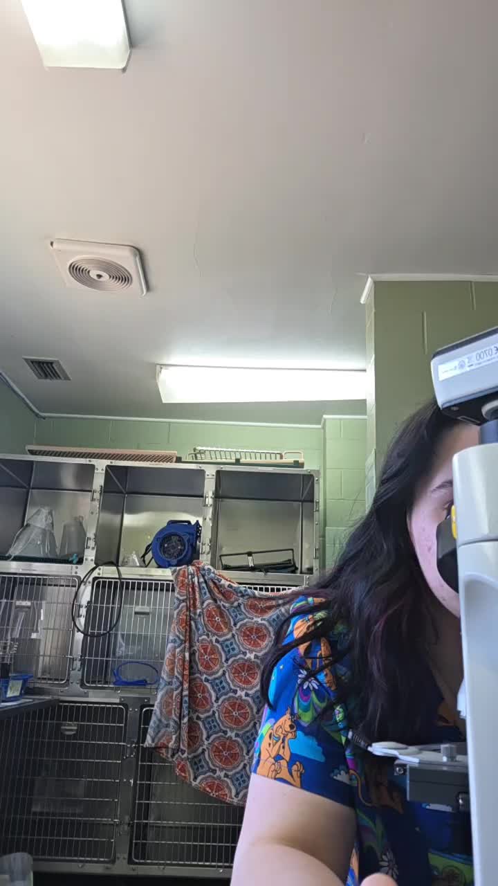 @Chateau Dog & Cat Hospital