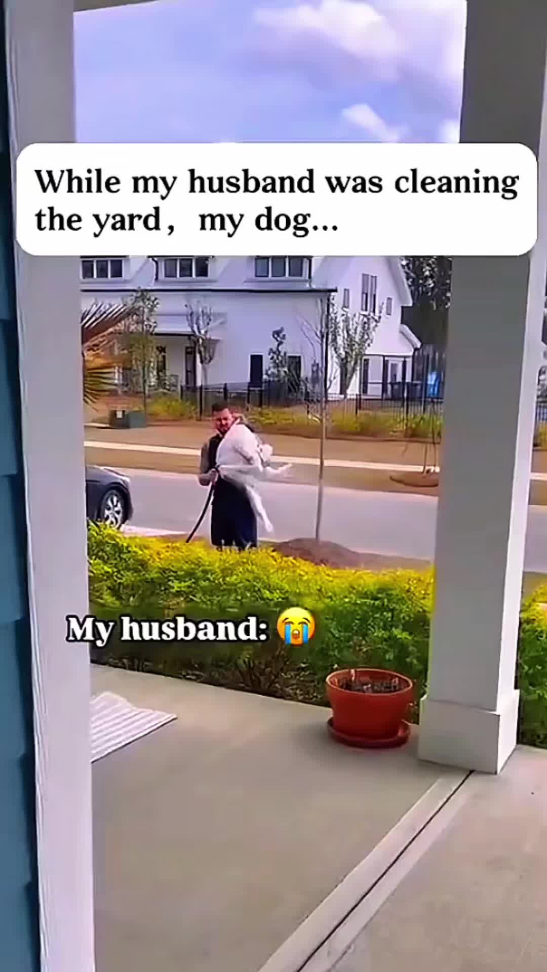 @Cute Pet ❤😘