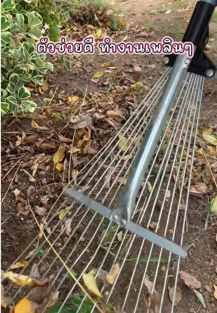 @แม่ปุ๊🦿มารีวิว