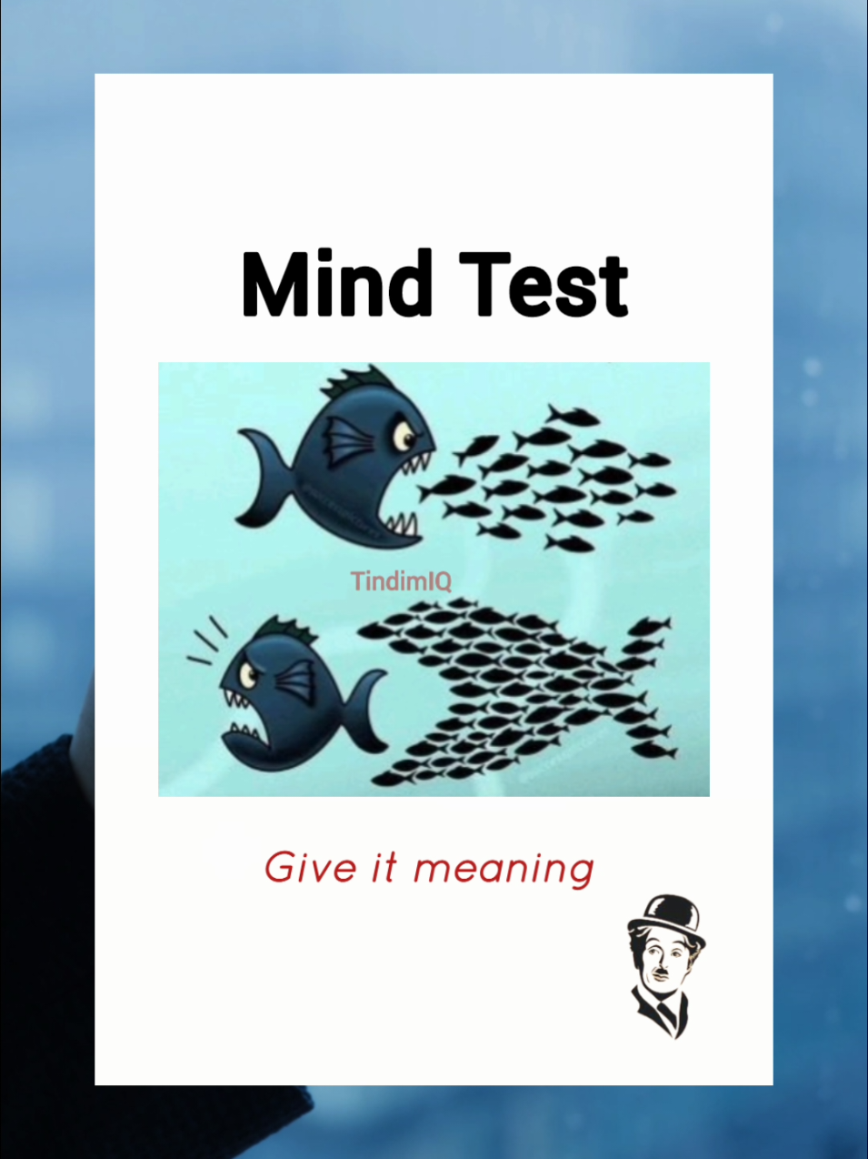 @Tindim-IQ