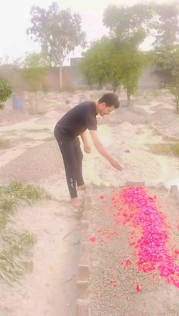 @Malik Abid