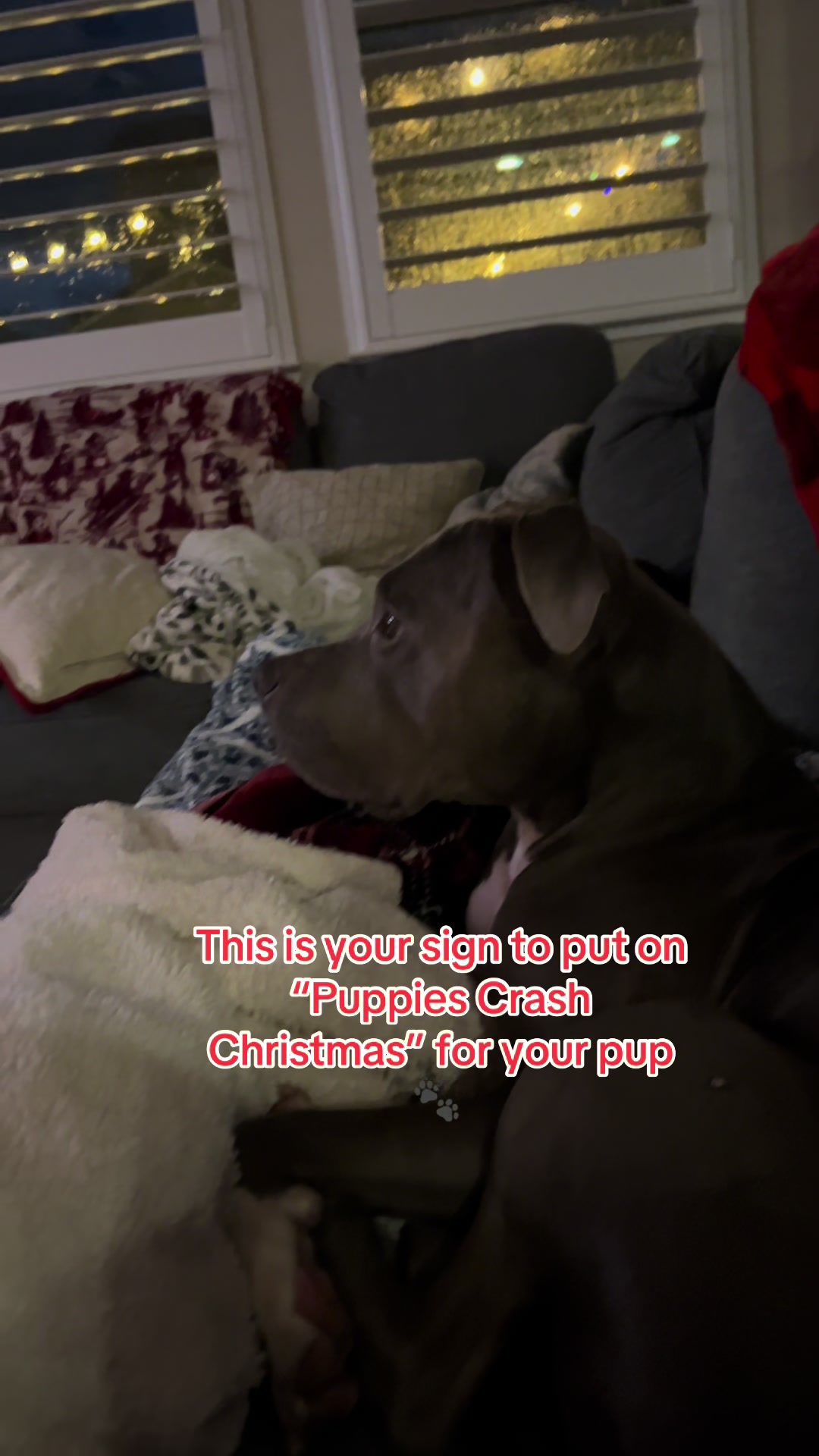 @Meg