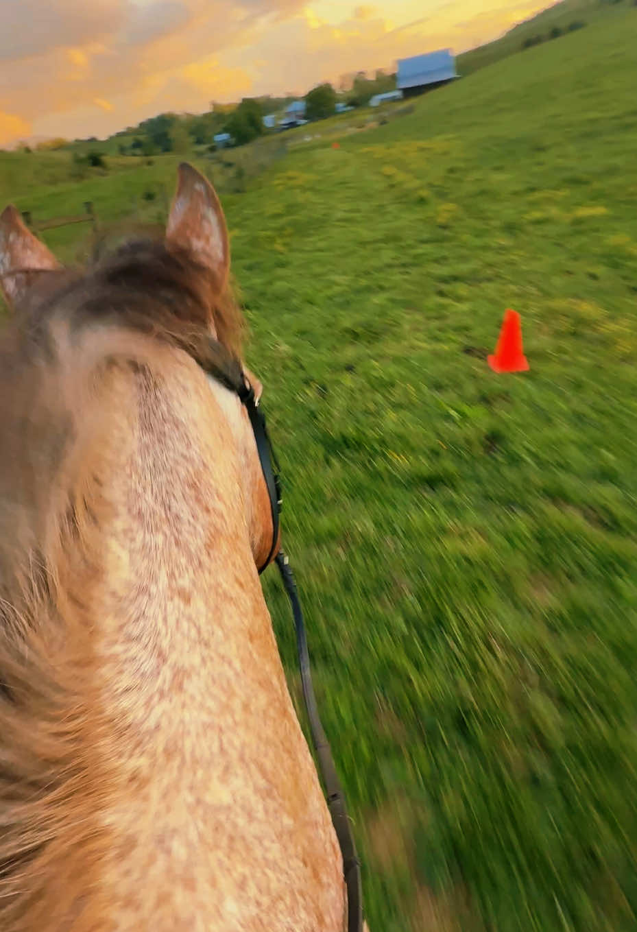 @Equestrian 🐴🐎