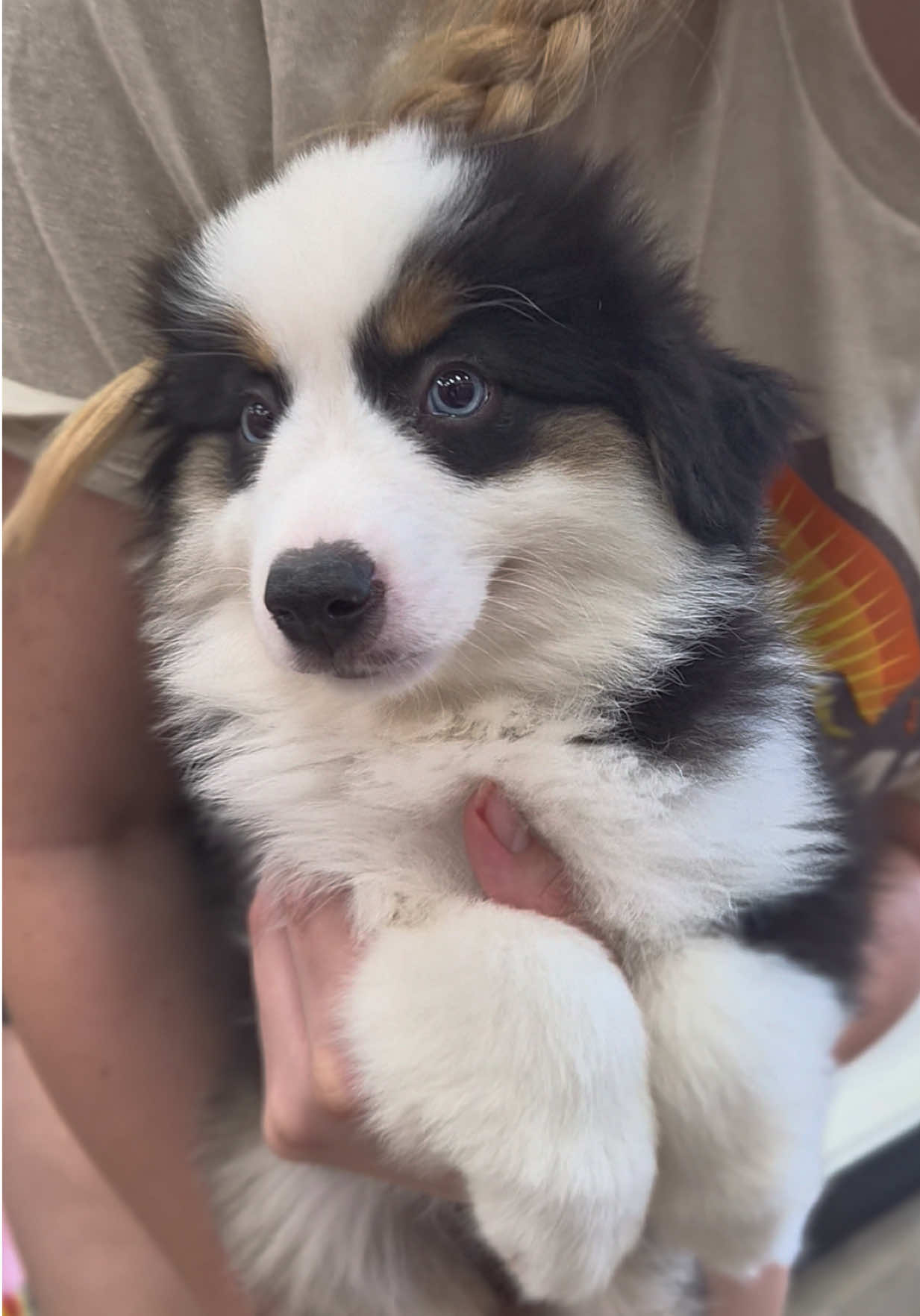 @Petland Oklahoma City