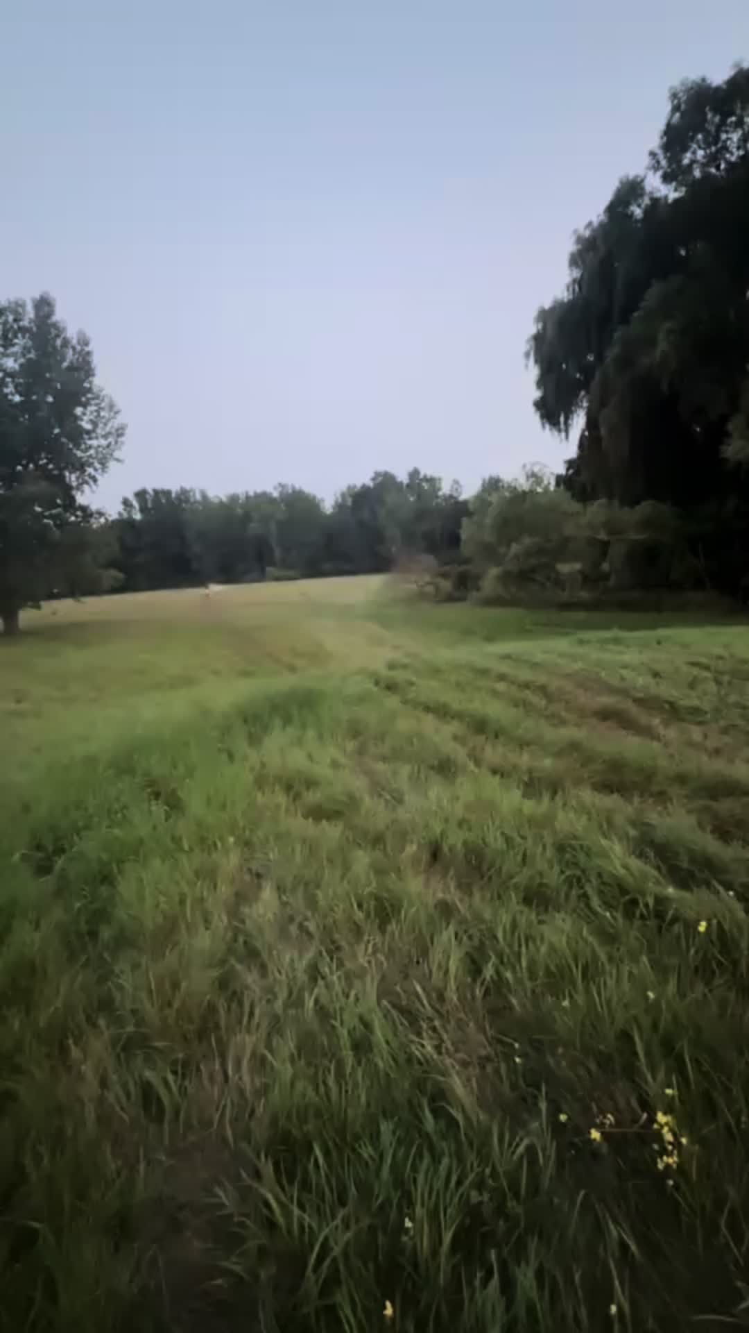 @AB158