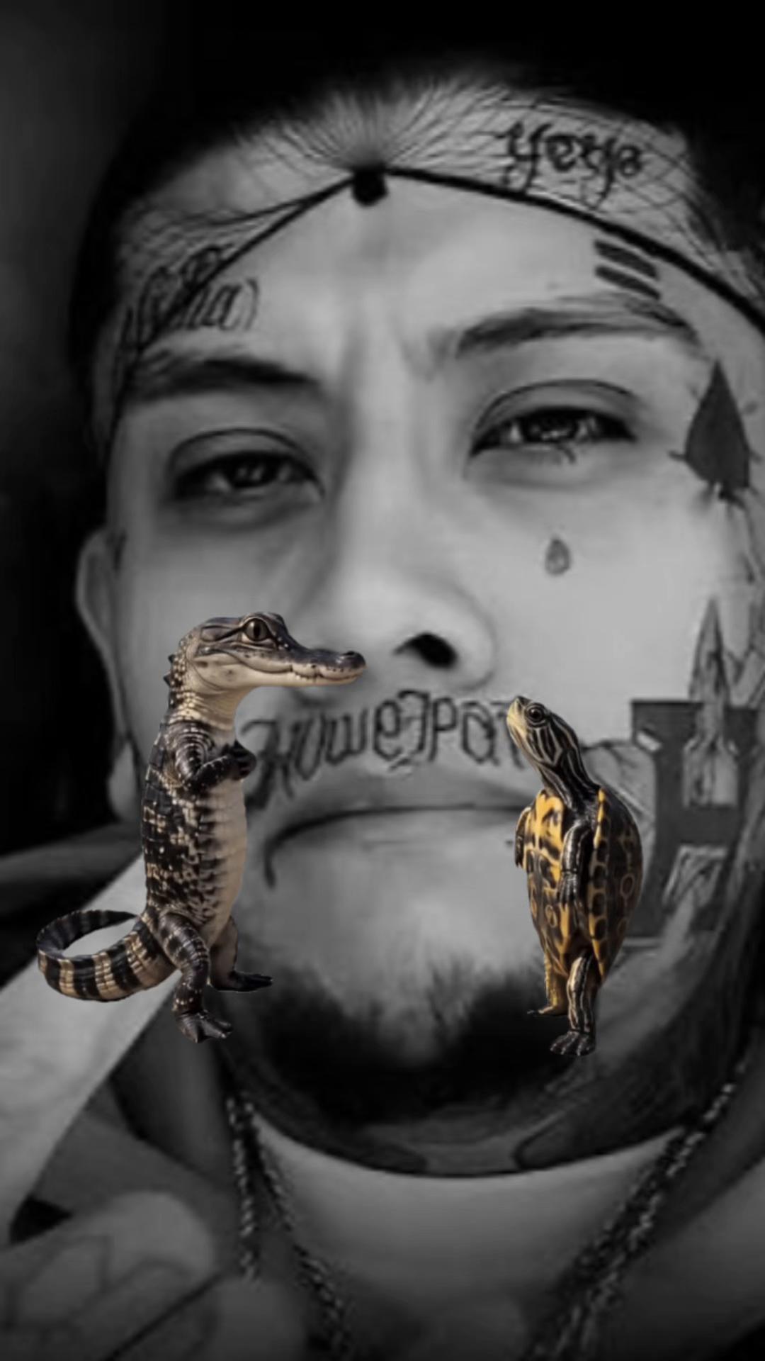 @jr_g