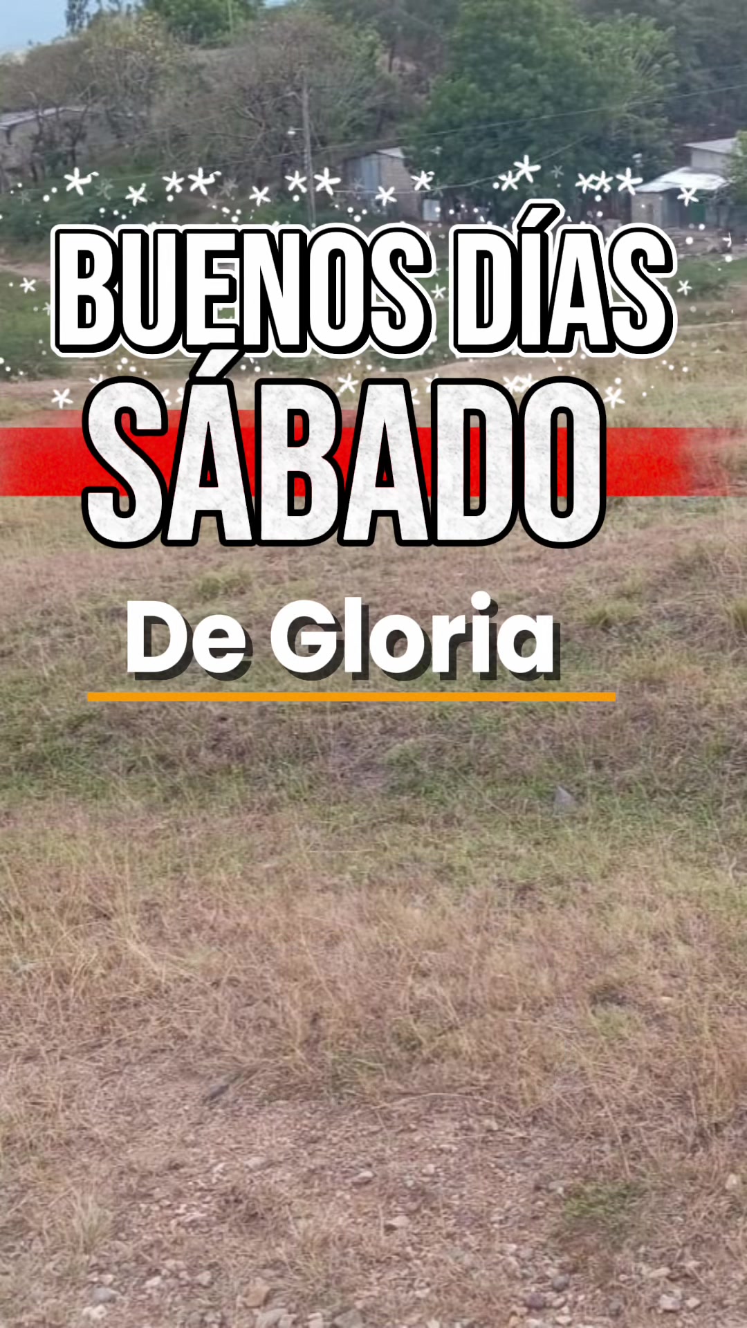 @Brenida acosta