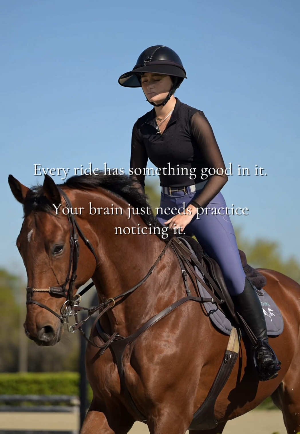 @Free Ride Equestrian