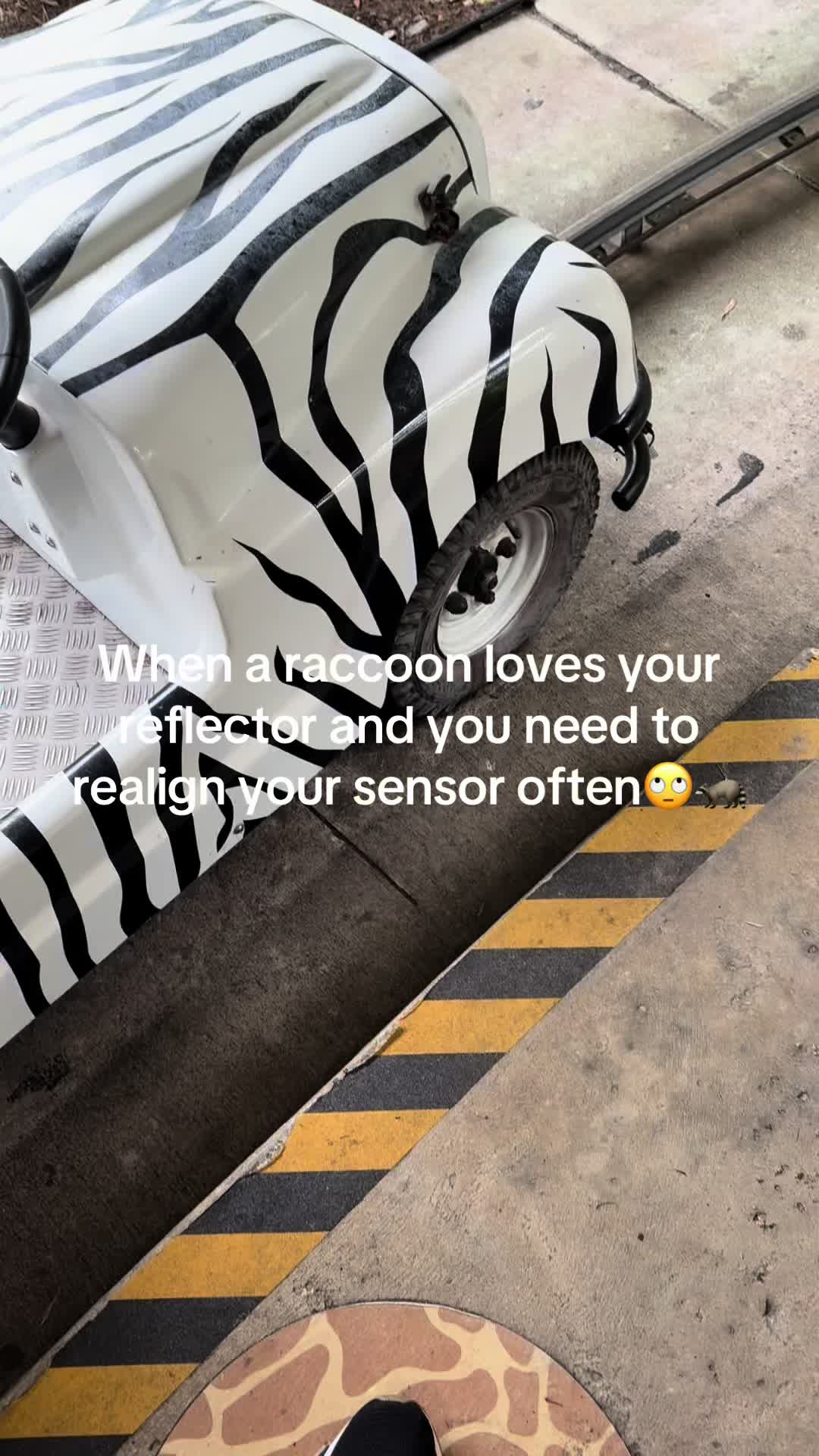 @Belinda Hernandez