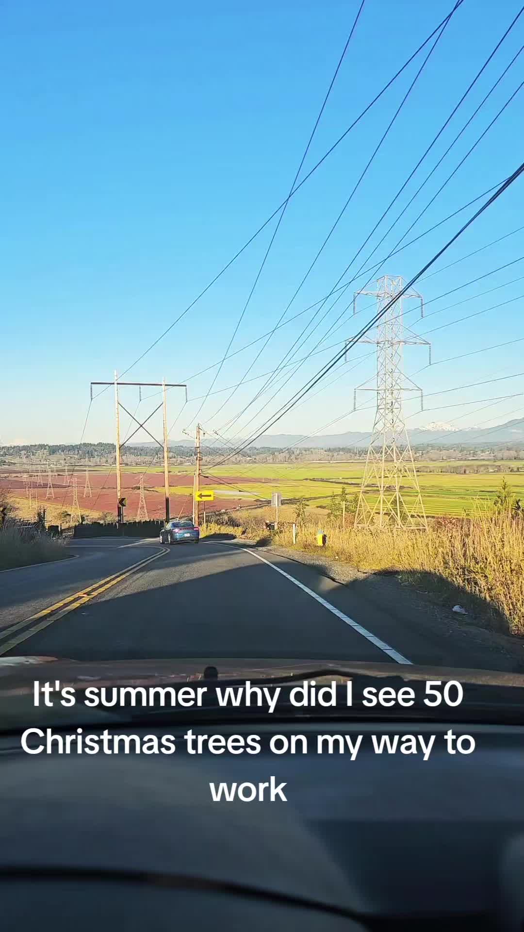 @Riley Coyote