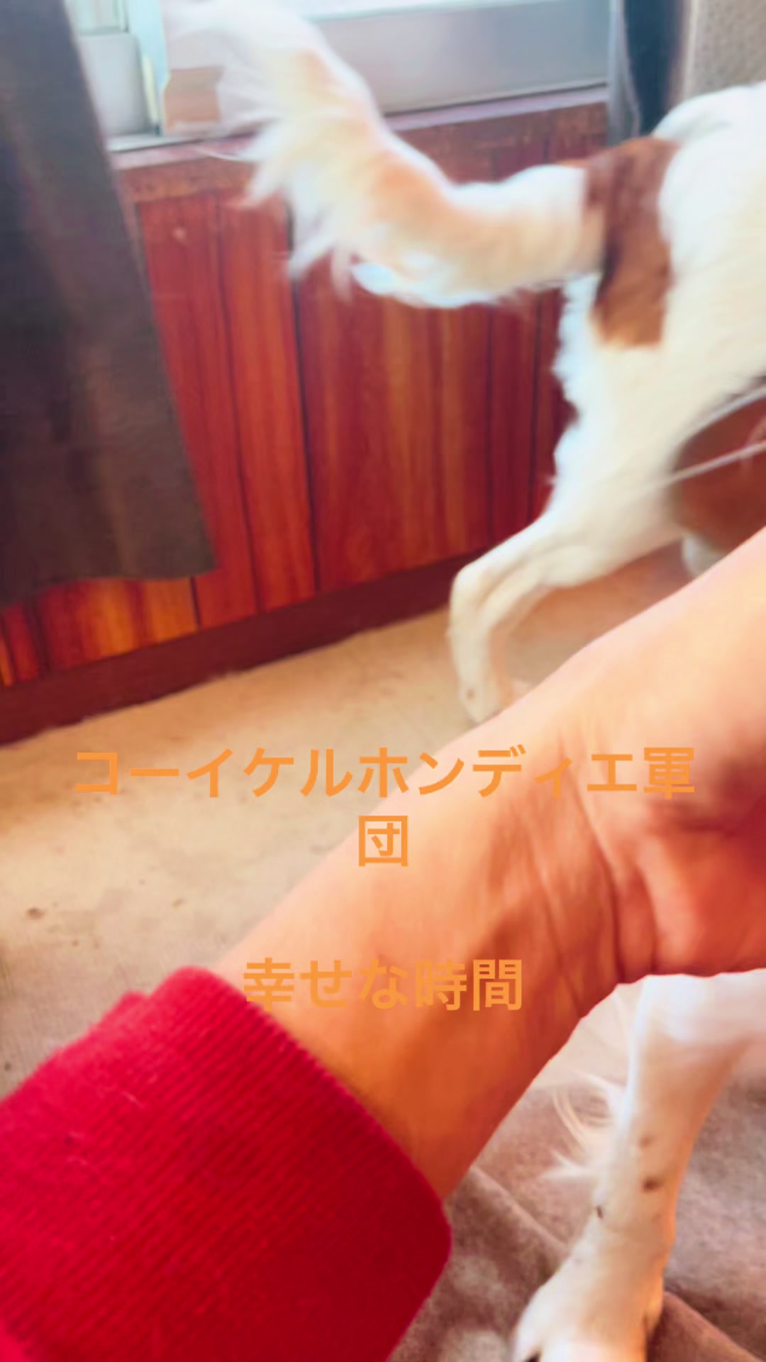 @大将