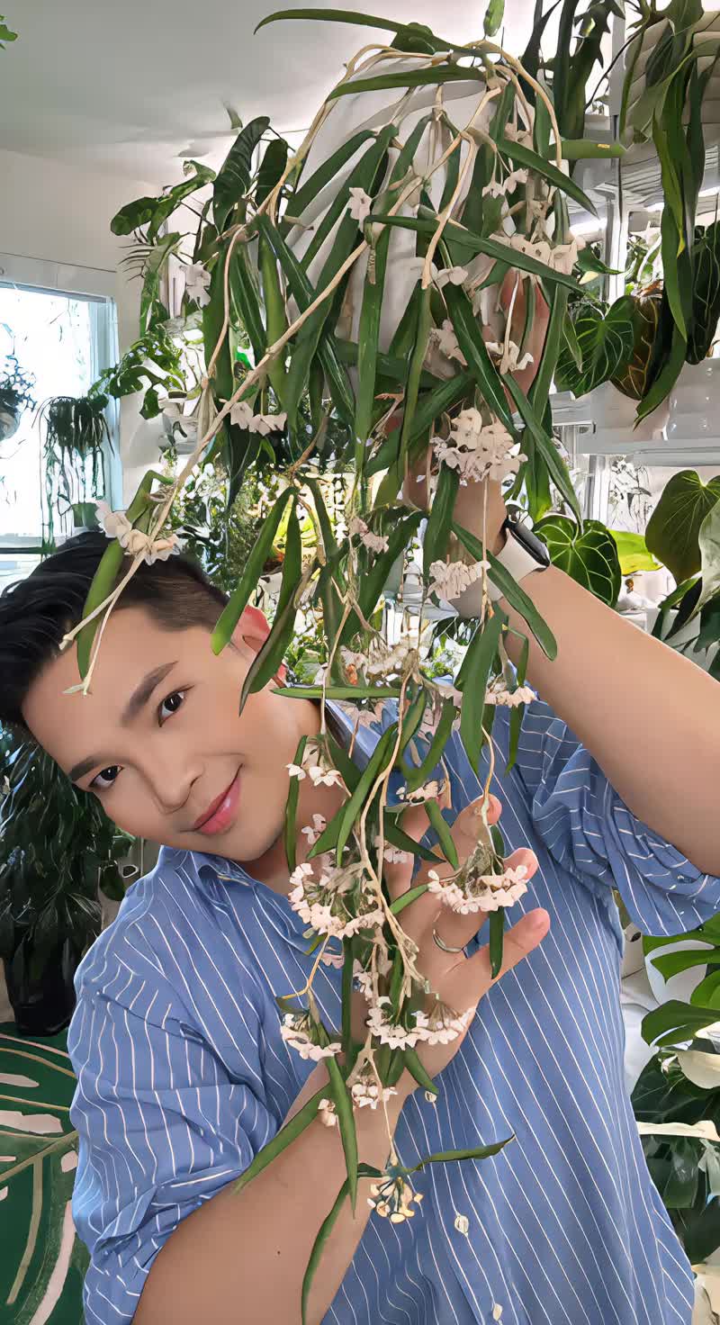 @Cyril&rsquo;s Plants | Cats | DIY 🌿