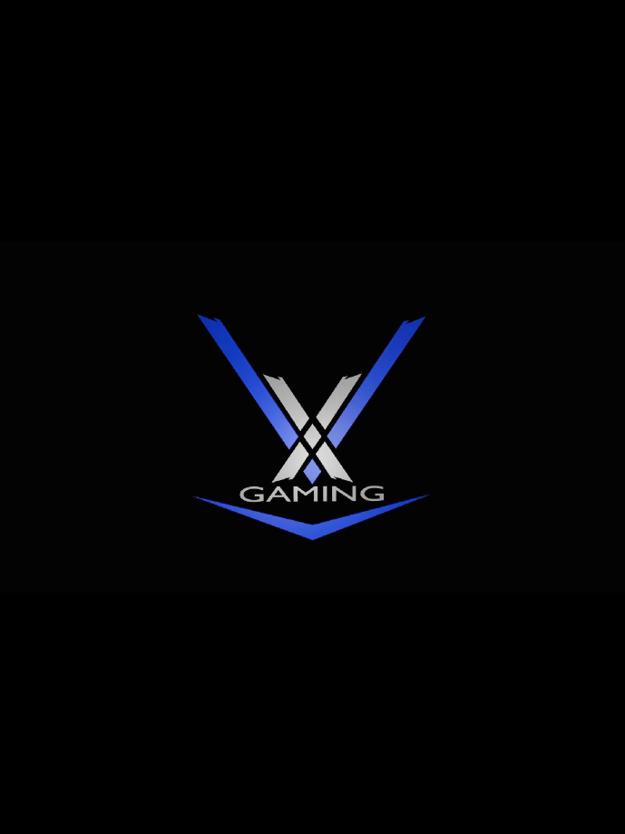 @VX GAMING