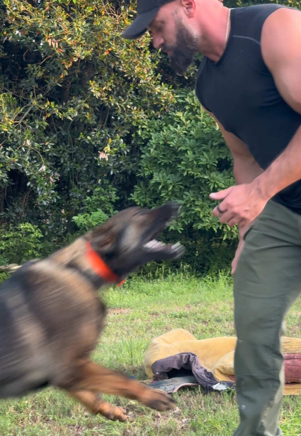 @True Guard K9 I Tara