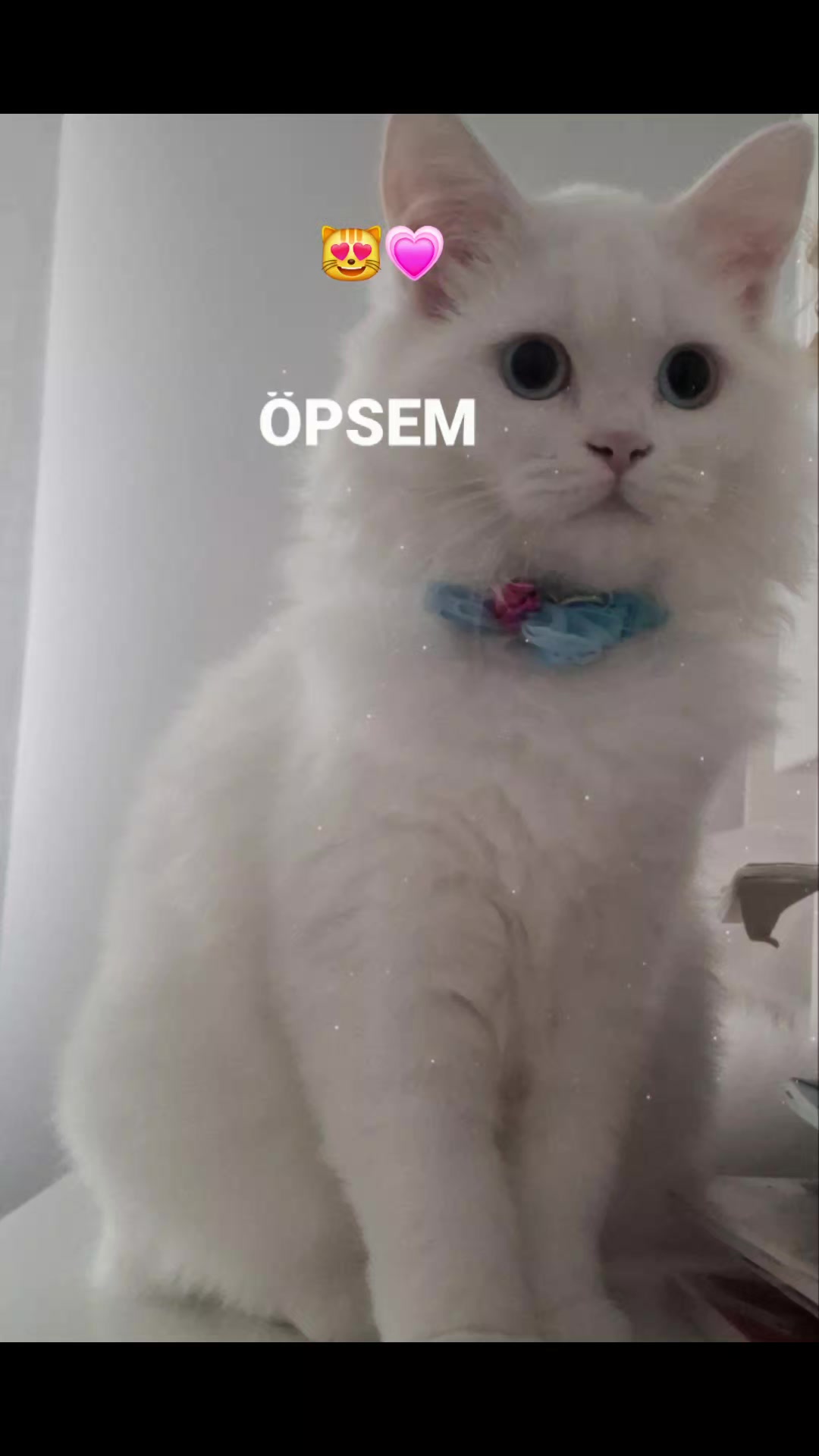@😺Şila😻Şima😺