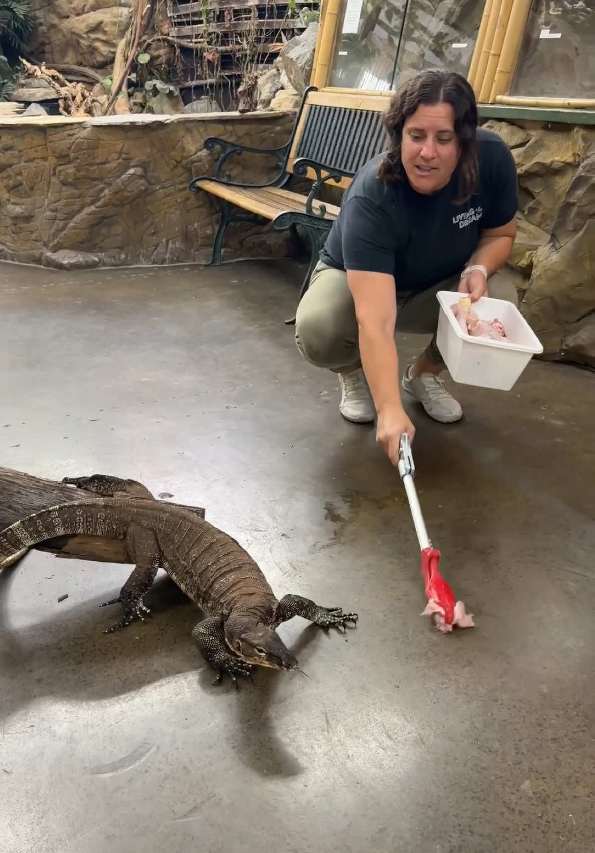 @The Reptile Zoo