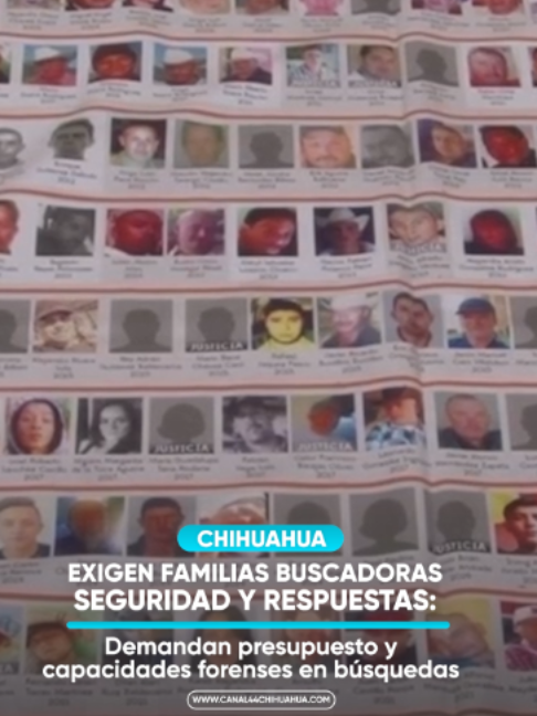 @canal44chihuahua