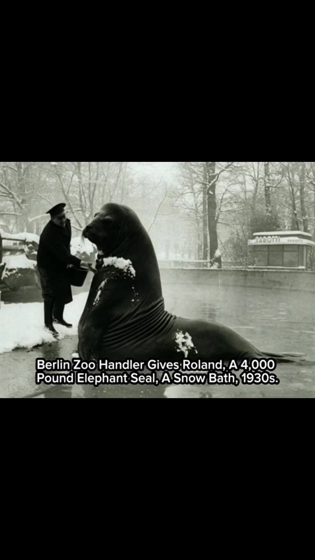 @HistoryAliveProject