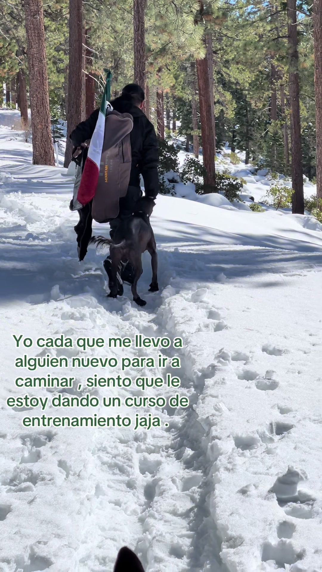 @tahoe_caluph_usa