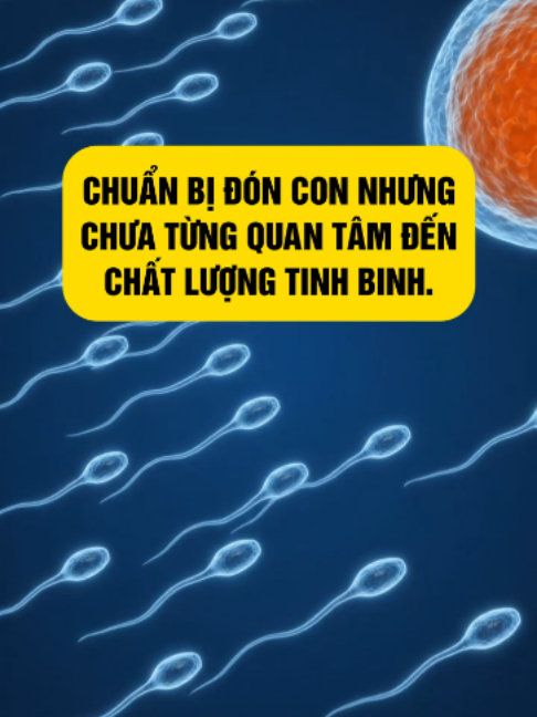 @Phùng Hà canh trứng mát tay