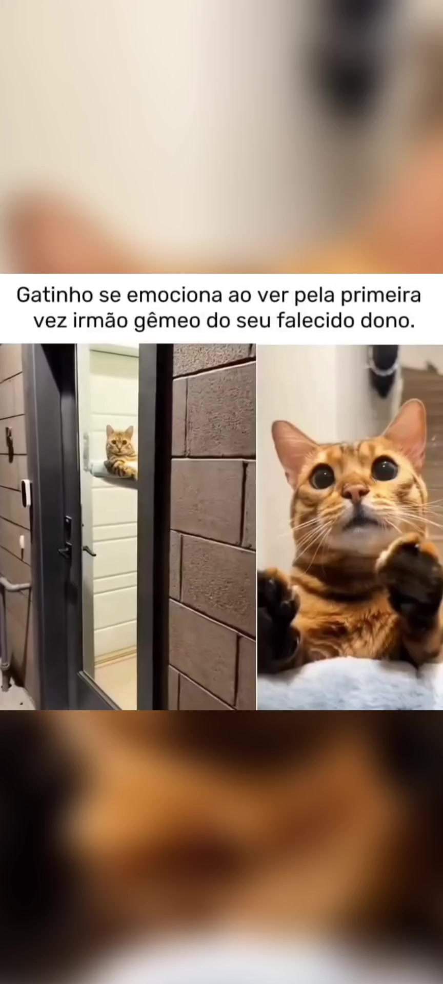 @RENDA DARK