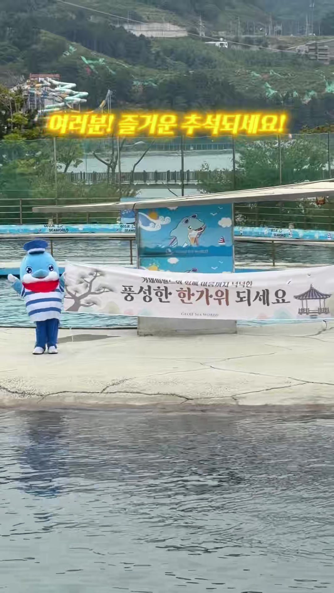 @DolphinTok
