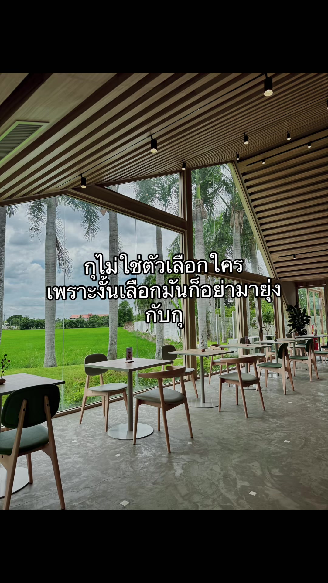 @ชีว๊าสส&lsquo;ส ชวาร็อฟกี้