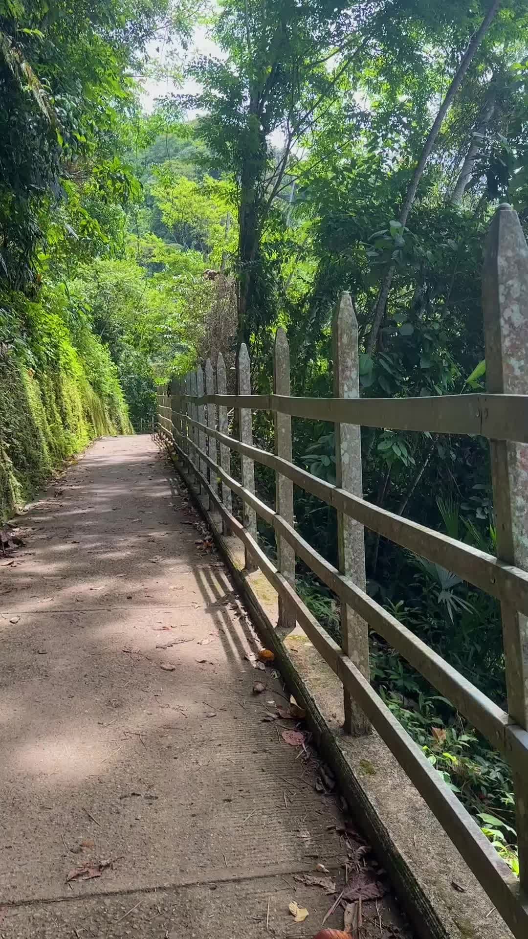 @Vale_ArdilaFit