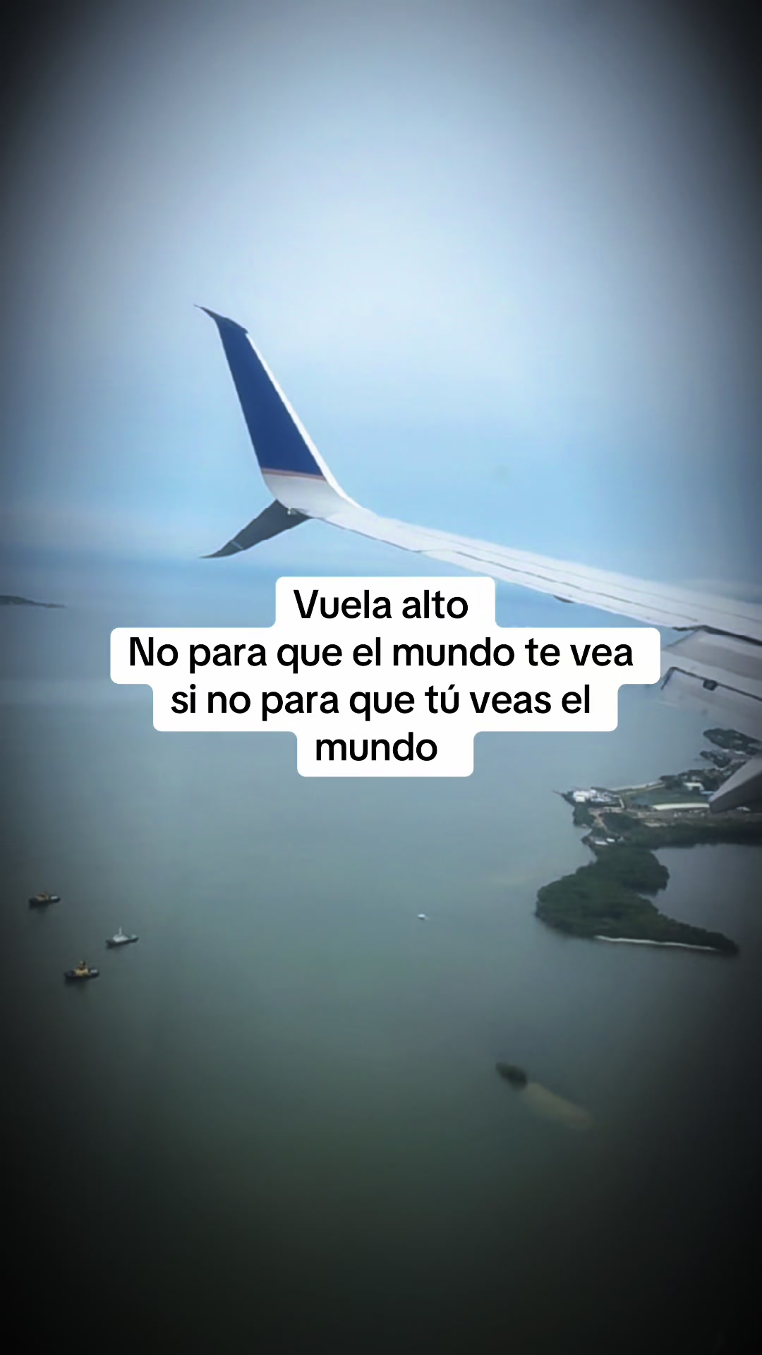 @Melissa Andrade