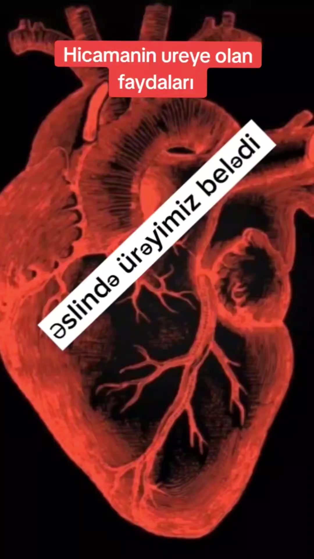 @zarif.tibb