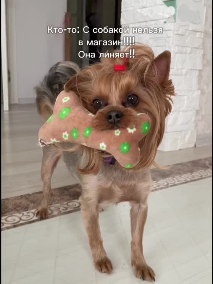 @Собака Евик🐾