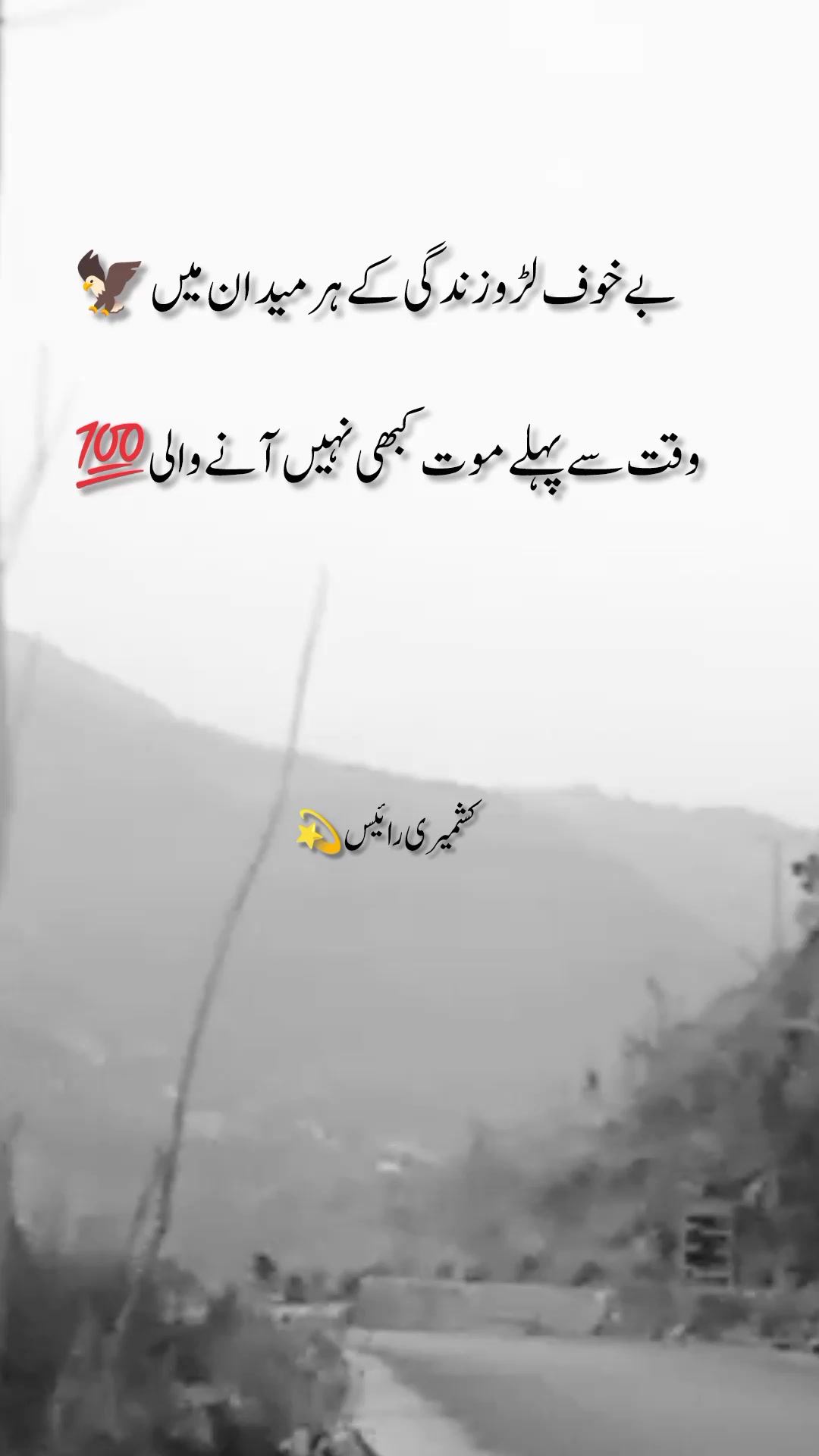@🦅کشمیری رائٹس 🍁(◕‿-)