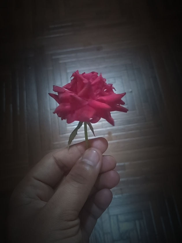 @सायरा 💕 धनु