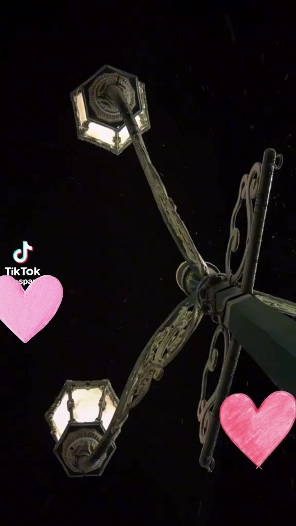 @Sanegish11