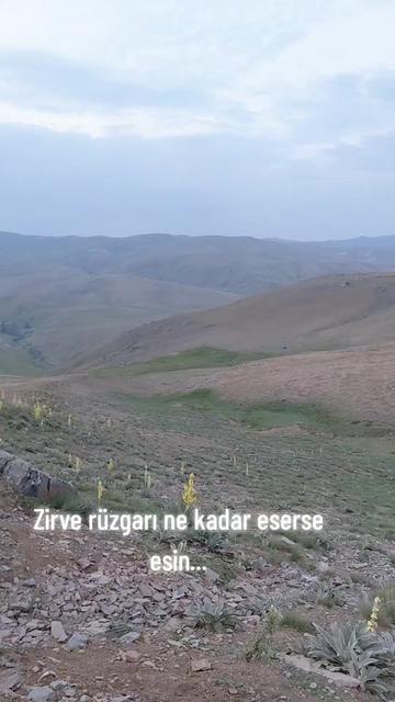 @1234Metin_kaniresli.1234