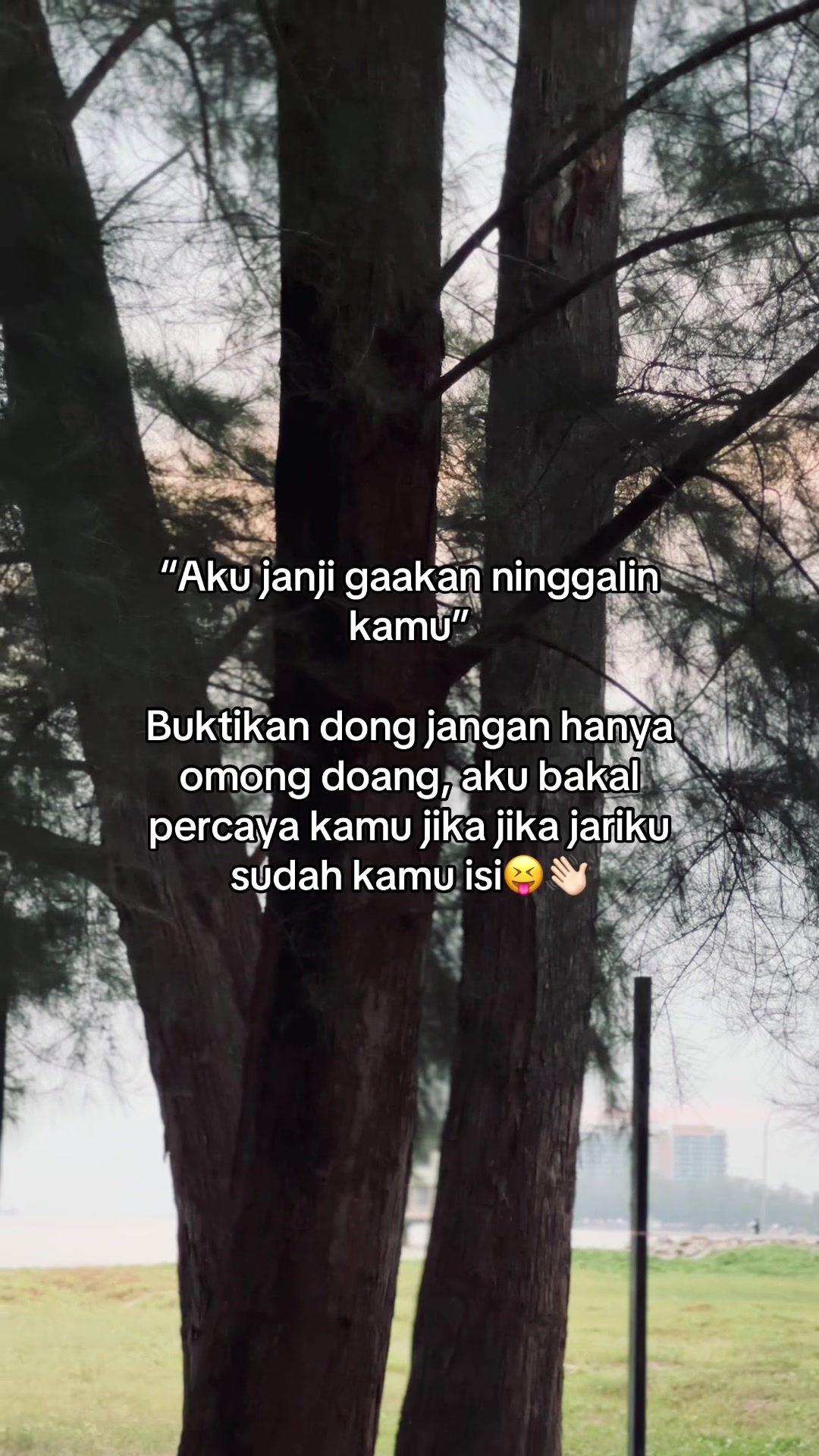 @Trinsomnia🦅
