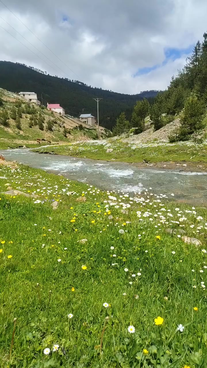@_Hafizali61