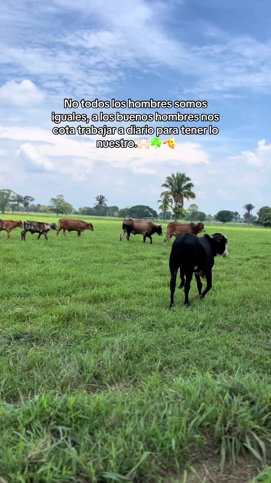 @García.🤠💎