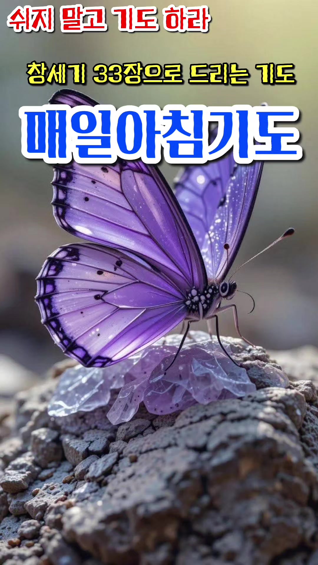 @피켓전도 김종일 목사