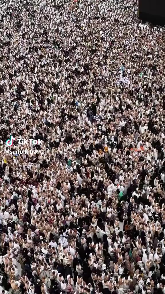 @شہادت کا متلاشی