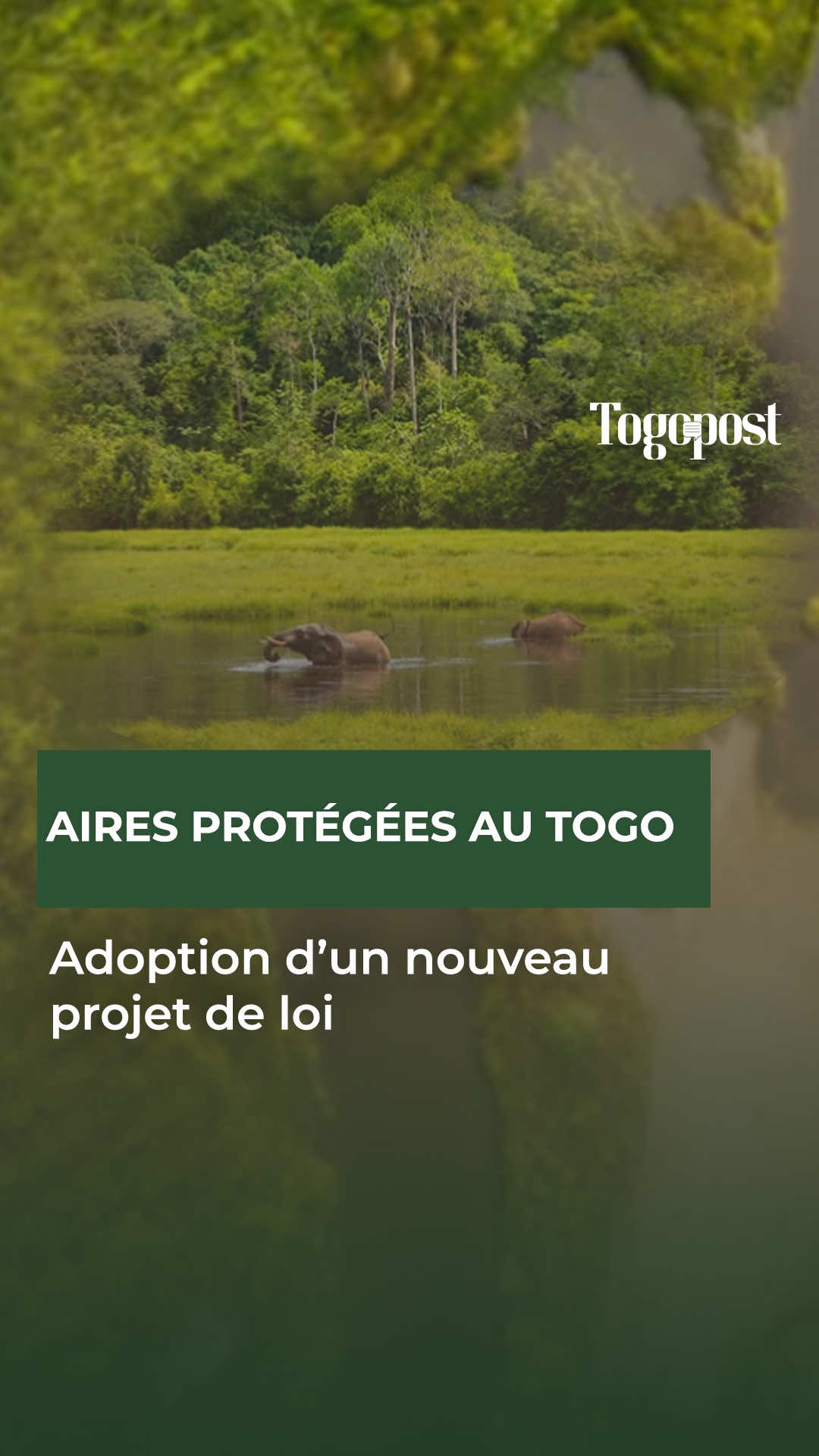 @Togo Post