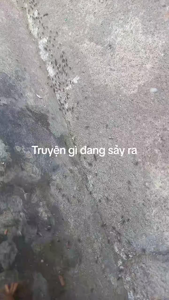 @Đ&ocirc;ng y VŨ VĂN D&Acirc;N