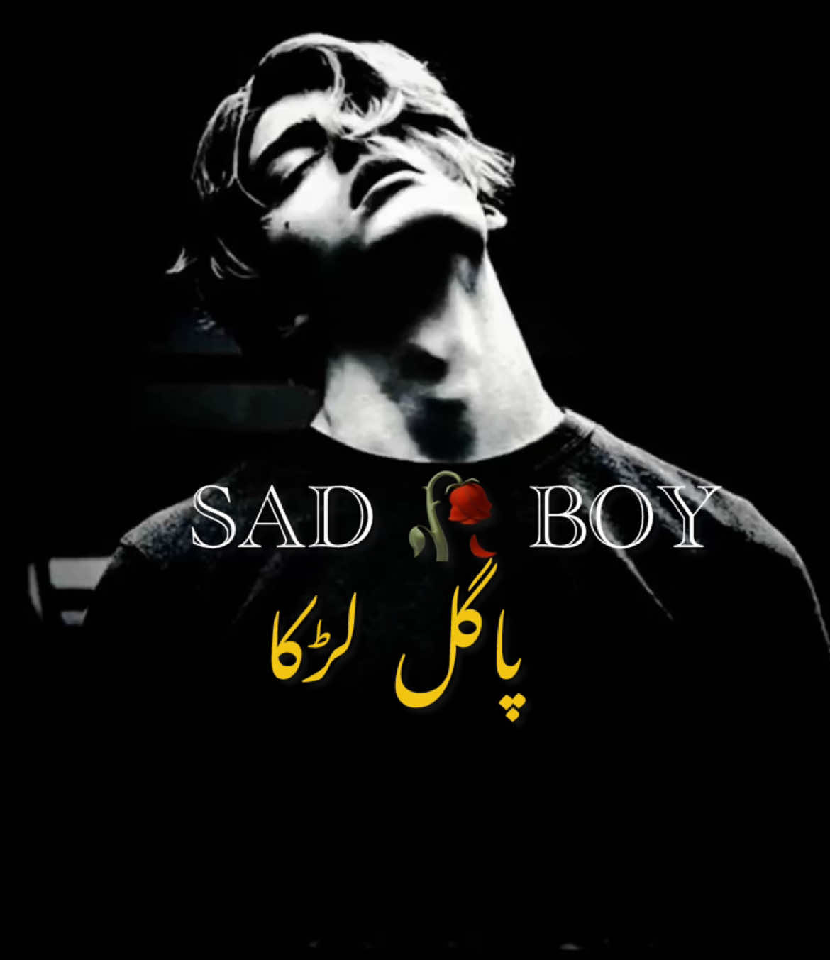 @😢 SAD BOY🎶