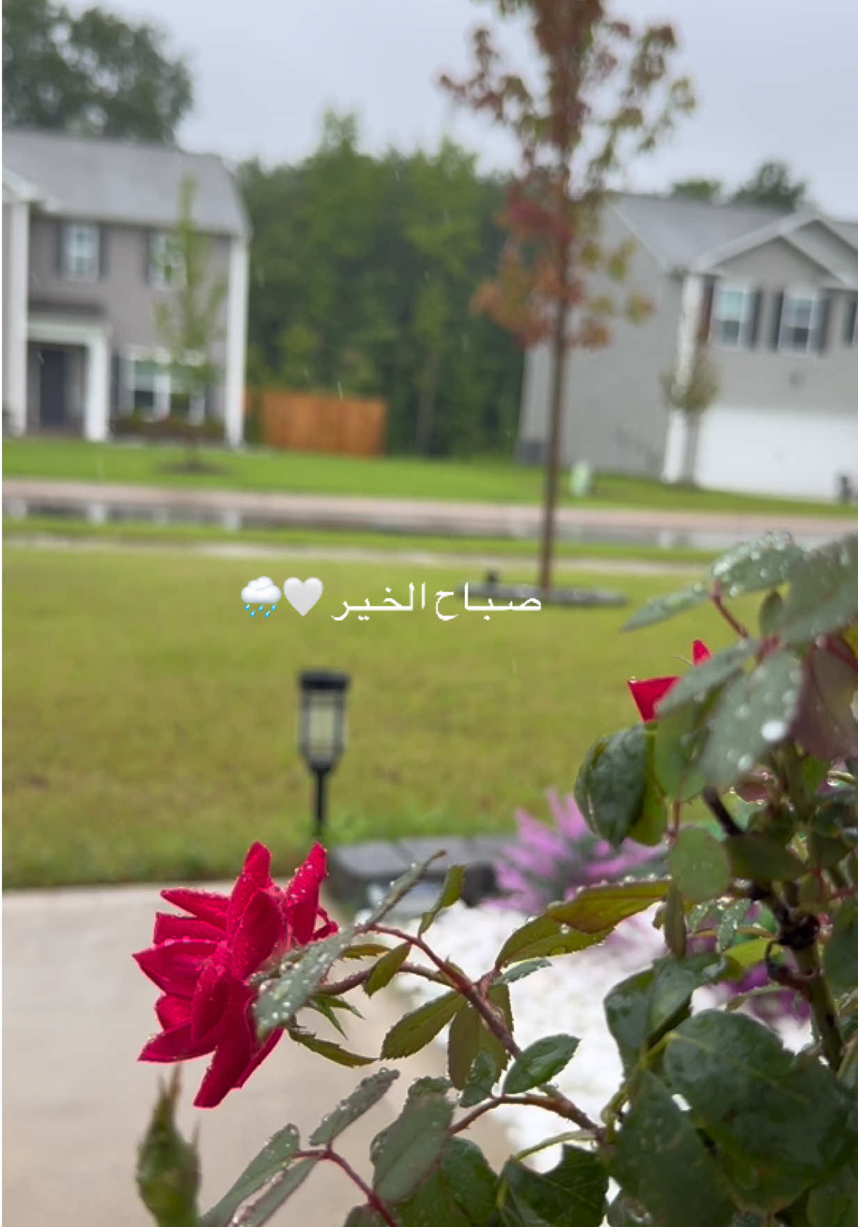 @Zainab’s world 🇲🇦🇺🇸