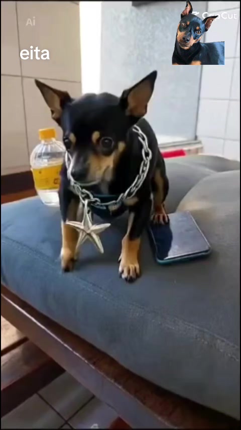 @vanetinhadotiktok