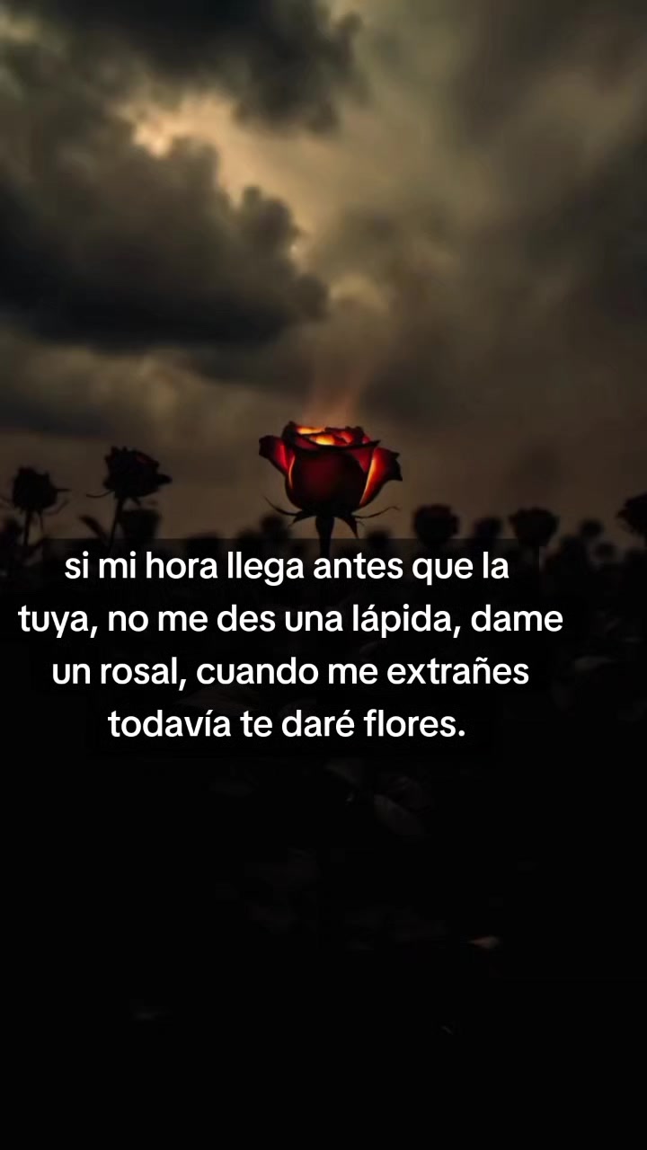 @Elida Orellana