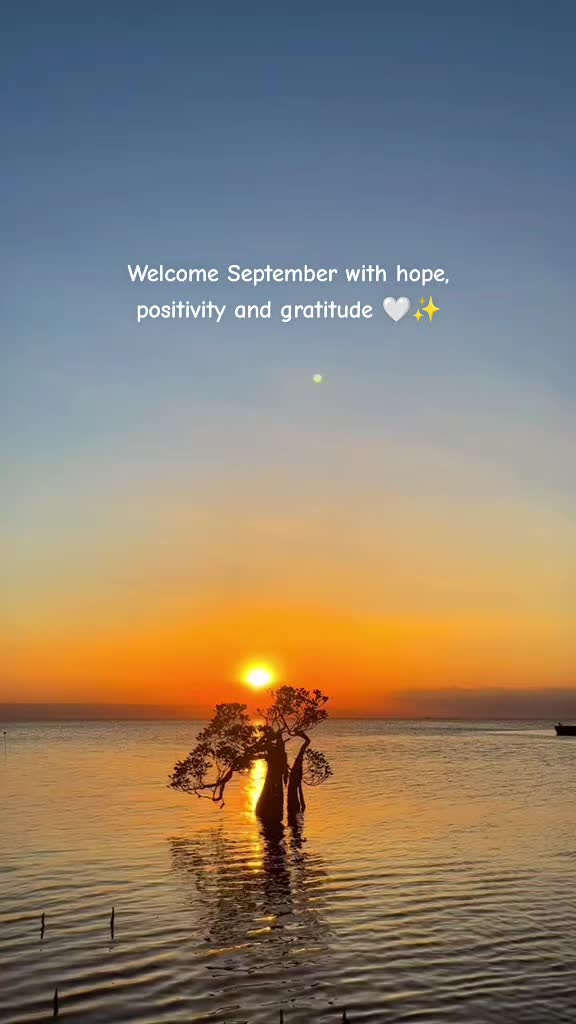 @OMTEPEN🐬